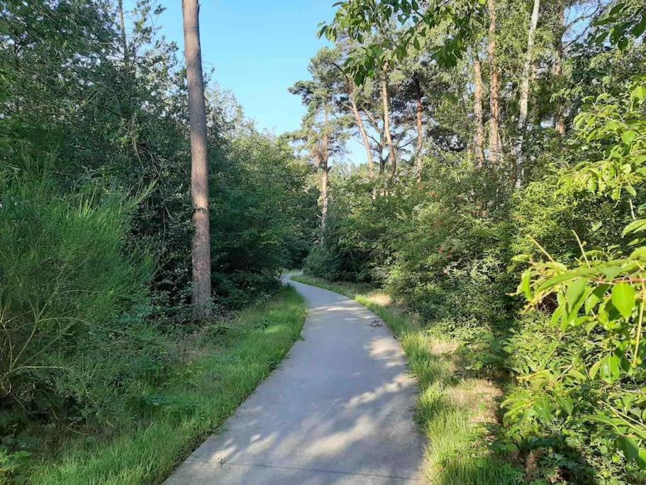 Vakantiehuis Eikzicht Gelegen Aan Het Bos Elsloo  ภายนอก รูปภาพ