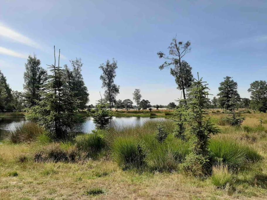 Vakantiehuis Eikzicht Gelegen Aan Het Bos Elsloo  ภายนอก รูปภาพ