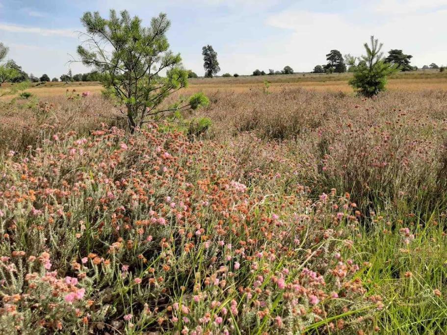 Vakantiehuis Eikzicht Gelegen Aan Het Bos Elsloo  ภายนอก รูปภาพ