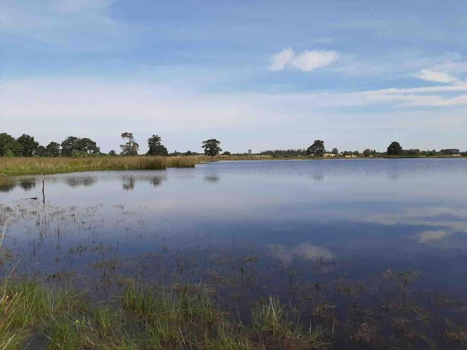Vakantiehuis Eikzicht Gelegen Aan Het Bos Elsloo  ภายนอก รูปภาพ