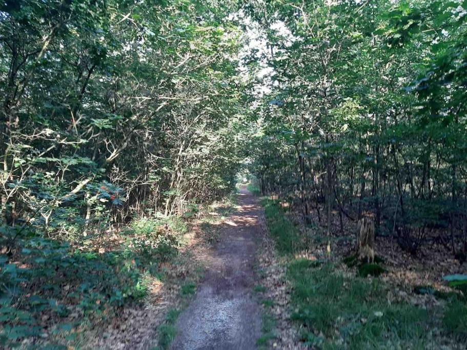 Vakantiehuis Eikzicht Gelegen Aan Het Bos Elsloo  ภายนอก รูปภาพ