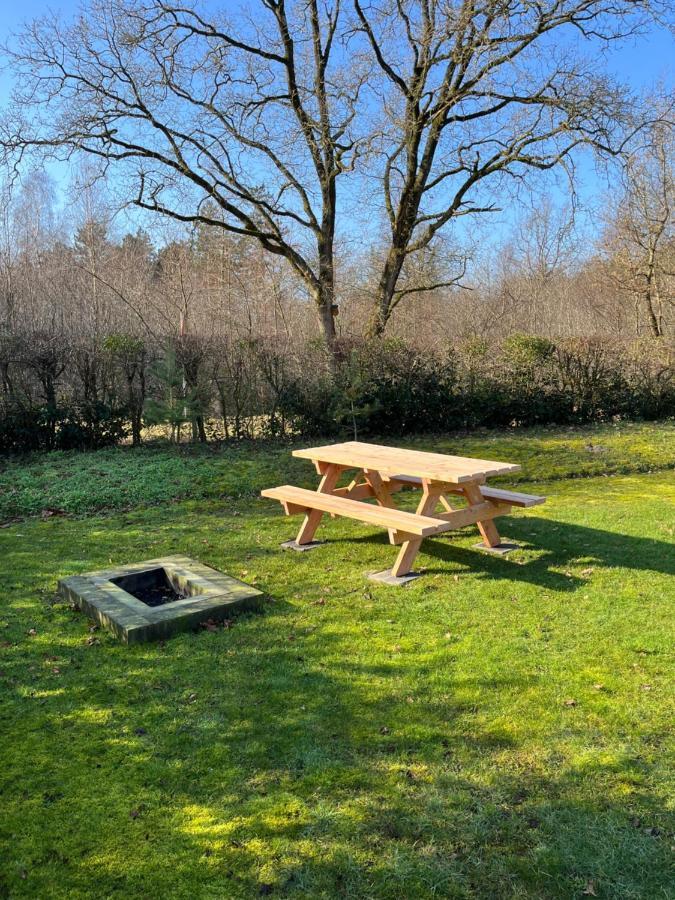 Vakantiehuis Eikzicht Gelegen Aan Het Bos Elsloo  ภายนอก รูปภาพ